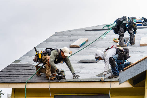 Professional Gutter Installation technician working in Greenbush, VA